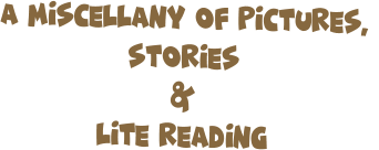 A Miscellany of Pictures,  Stories &  Lite Reading